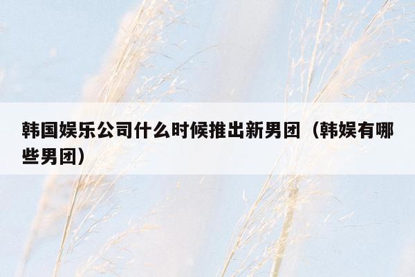 韩国娱乐公司什么时候推出新男团（韩娱有哪些男团）