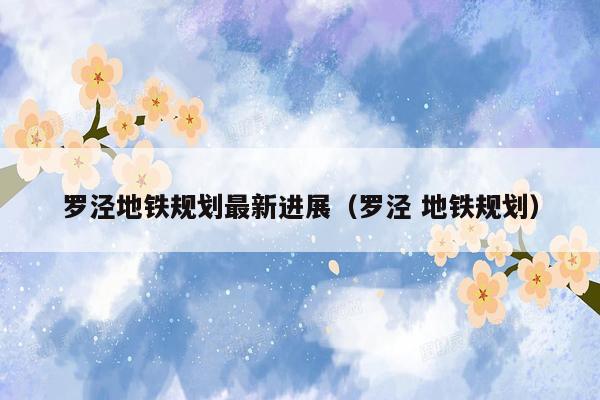 罗泾地铁规划最新进展（罗泾 地铁规划）