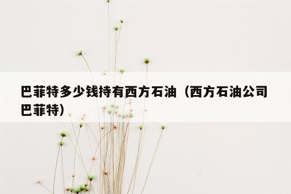 巴菲特多少钱持有西方石油（西方石油公司 巴菲特）