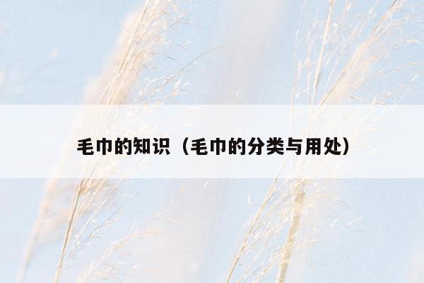 毛巾的知识（毛巾的分类与用处）