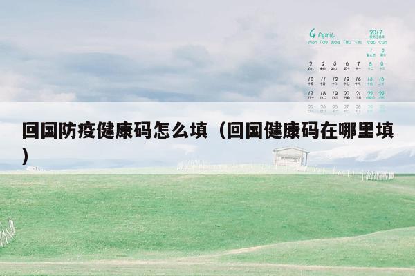 回国防疫健康码怎么填（回国健康码在哪里填）