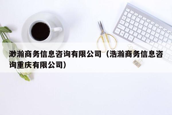渺瀚商务信息咨询有限公司（浩瀚商务信息咨询重庆有限公司）
