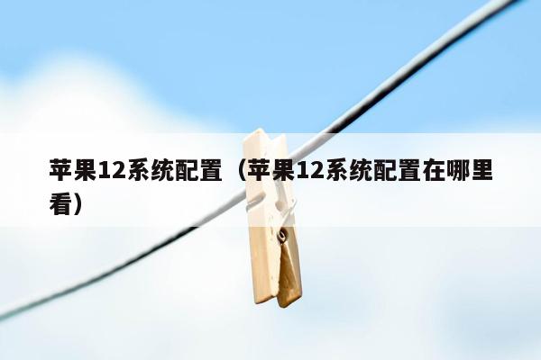苹果12系统配置（苹果12系统配置在哪里看）