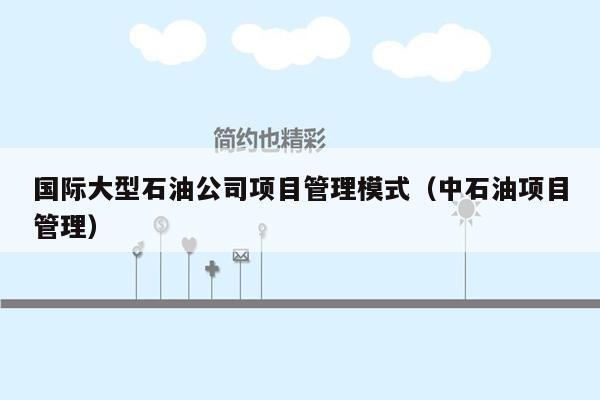 国际大型石油公司项目管理模式（中石油项目管理）