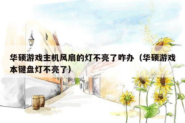 华硕游戏主机风扇的灯不亮了咋办（华硕游戏本键盘灯不亮了）