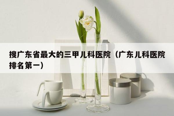 搜广东省最大的三甲儿科医院（广东儿科医院排名第一）