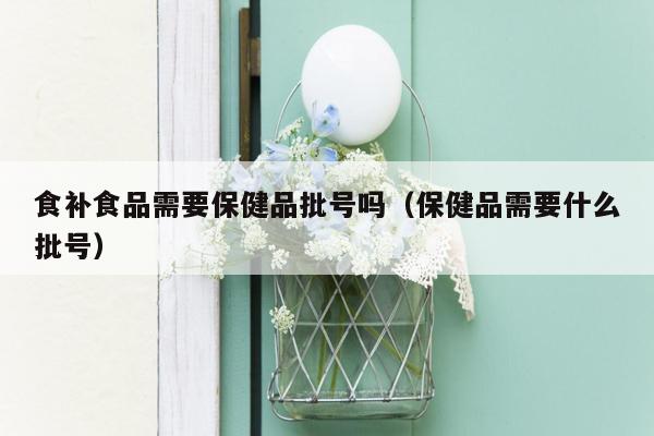 食补食品需要保健品批号吗（保健品需要什么批号）