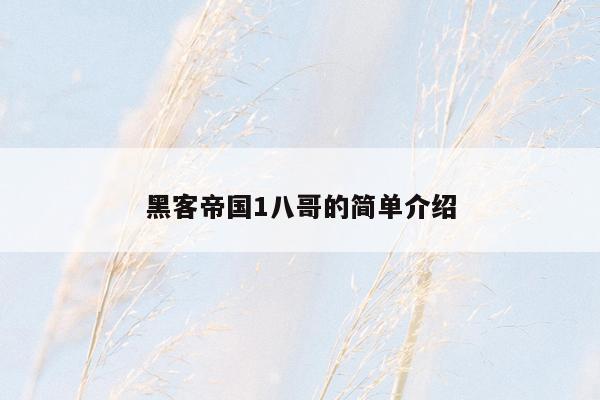 黑客帝国1八哥的简单介绍