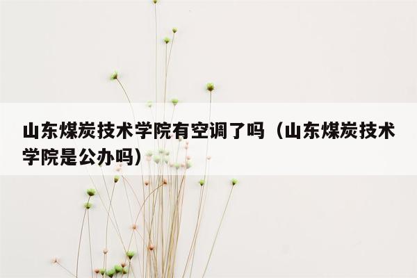 山东煤炭技术学院有空调了吗（山东煤炭技术学院是公办吗）