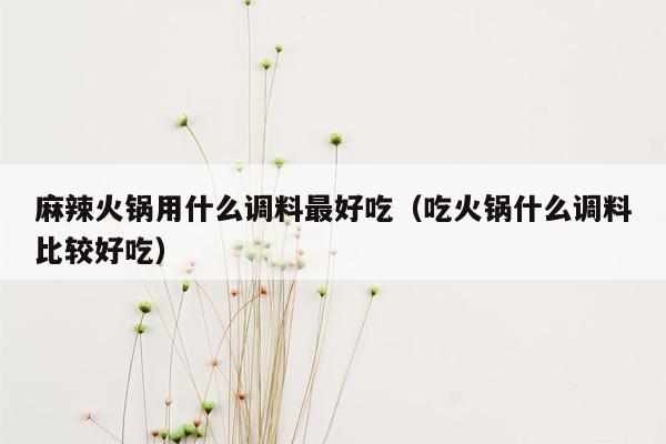 麻辣火锅用什么调料最好吃（吃火锅什么调料比较好吃）