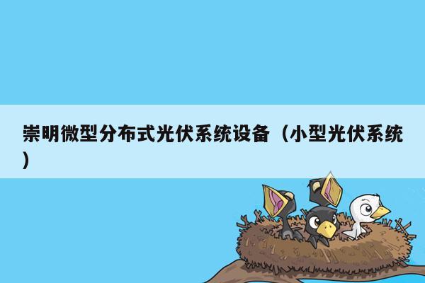 崇明微型分布式光伏系统设备（小型光伏系统）
