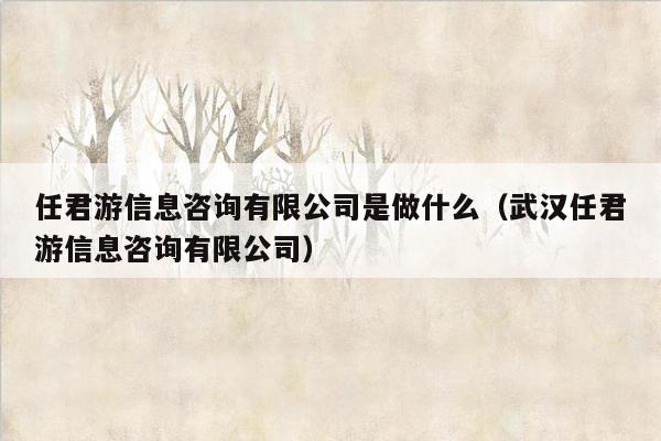 任君游信息咨询有限公司是做什么（武汉任君游信息咨询有限公司）