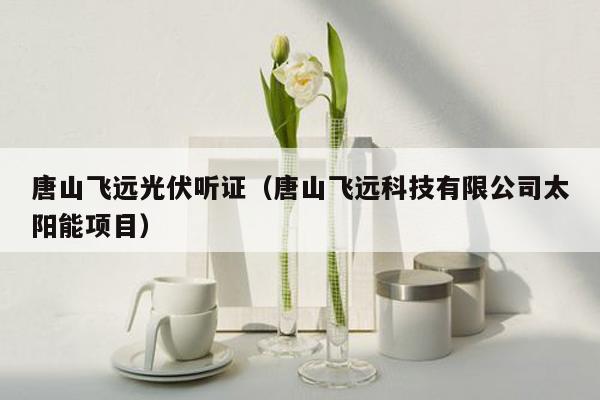 唐山飞远光伏听证（唐山飞远科技有限公司太阳能项目）