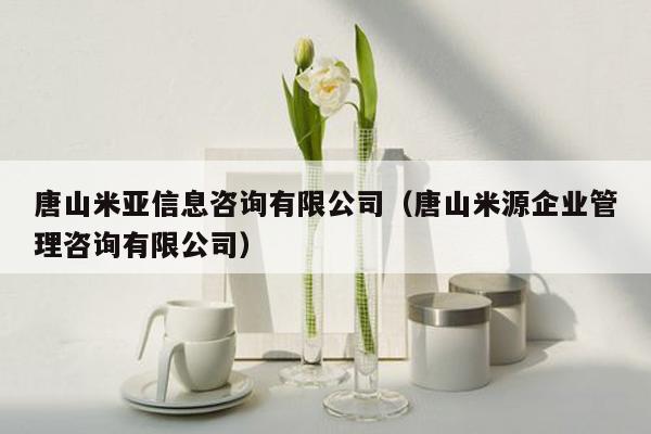 唐山米亚信息咨询有限公司（唐山米源企业管理咨询有限公司）