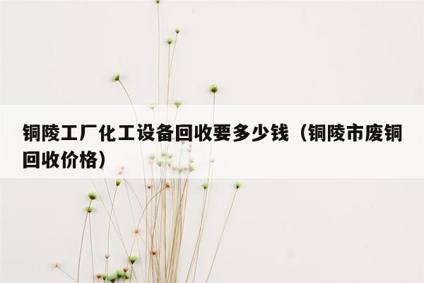 铜陵工厂化工设备回收要多少钱（铜陵市废铜回收价格）