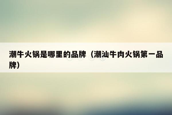 潮牛火锅是哪里的品牌（潮汕牛肉火锅第一品牌）