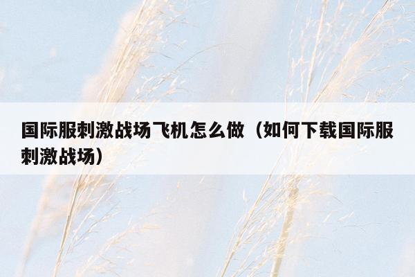 国际服刺激战场飞机怎么做（如何下载国际服刺激战场）