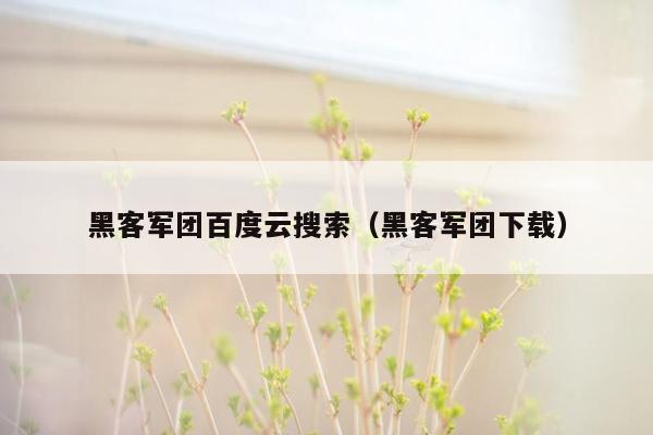 黑客军团百度云搜索（黑客军团下载）