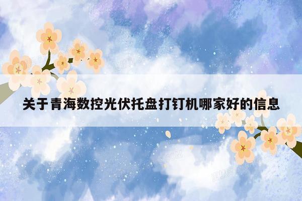 关于青海数控光伏托盘打钉机哪家好的信息