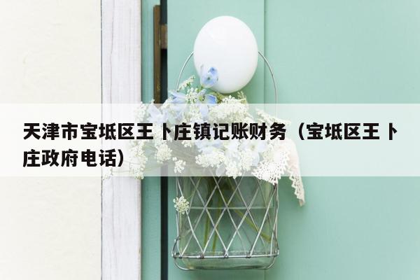天津市宝坻区王卜庄镇记账财务（宝坻区王卜庄政府电话）