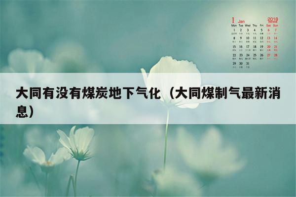 大同有没有煤炭地下气化（大同煤制气最新消息）