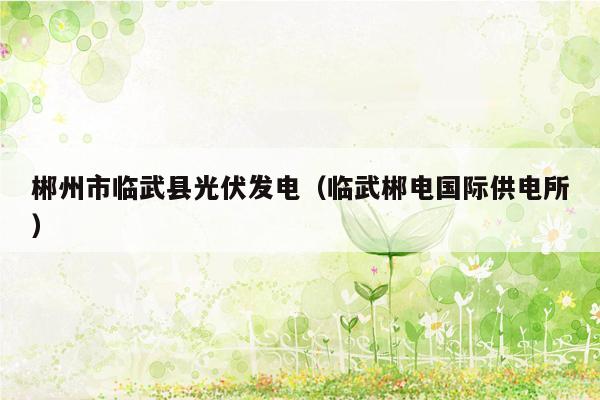 郴州市临武县光伏发电（临武郴电国际供电所）