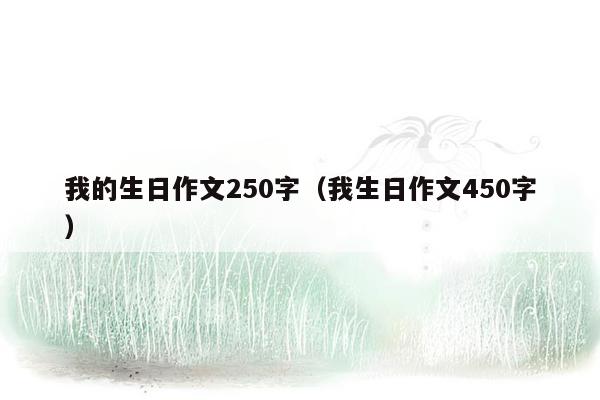我的生日作文250字（我生日作文450字）