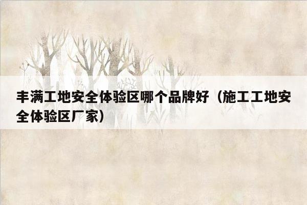 丰满工地安全体验区哪个品牌好（施工工地安全体验区厂家）
