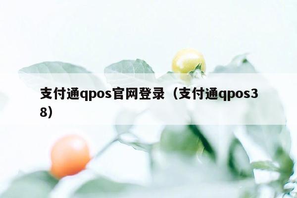 支付通qpos官网登录（支付通qpos38）