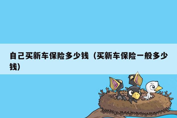 自己买新车保险多少钱（买新车保险一般多少钱）
