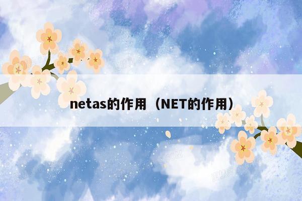 netas的作用（NET的作用）