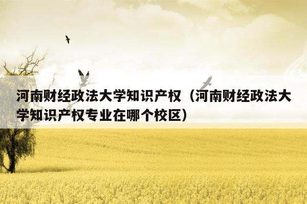 河南财经政法大学知识产权（河南财经政法大学知识产权专业在哪个校区）