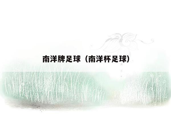 南洋牌足球（南洋杯足球）
