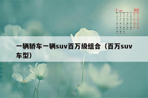 一辆轿车一辆suv百万级组合（百万suv车型）
