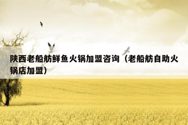 陕西老船舫鲜鱼火锅加盟咨询（老船舫自助火锅店加盟）
