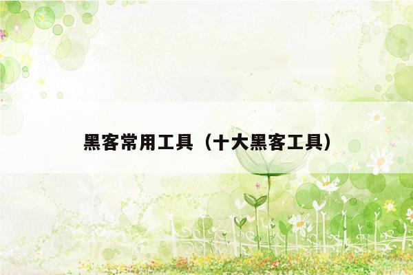 黑客常用工具（十大黑客工具）