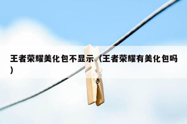 王者荣耀美化包不显示（王者荣耀有美化包吗）