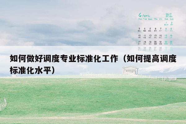 如何做好调度专业标准化工作（如何提高调度标准化水平）