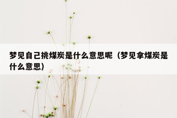 梦见自己挑煤炭是什么意思呢（梦见拿煤炭是什么意思）