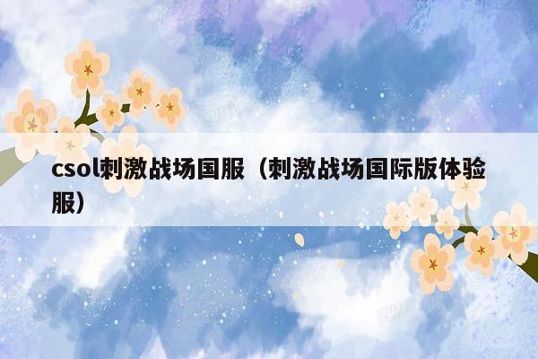 csol刺激战场国服（刺激战场国际版体验服）