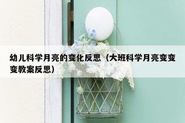 幼儿科学月亮的变化反思（大班科学月亮变变变教案反思）