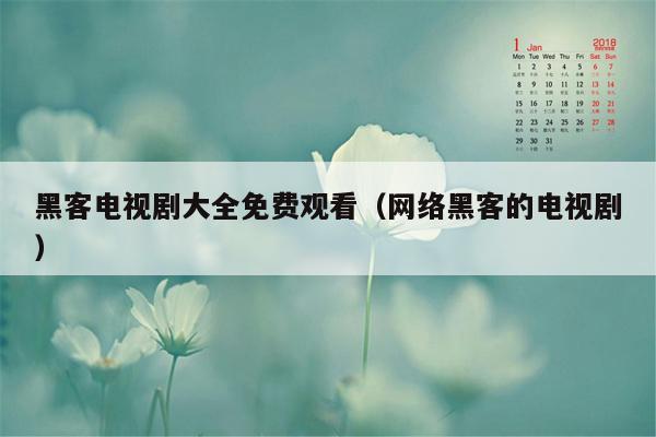 黑客电视剧大全免费观看（网络黑客的电视剧）