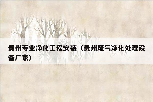 贵州专业净化工程安装（贵州废气净化处理设备厂家）