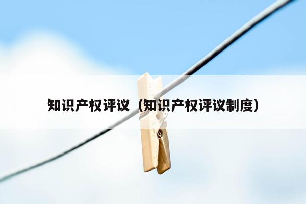 知识产权评议（知识产权评议制度）
