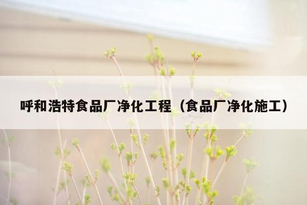 呼和浩特食品厂净化工程（食品厂净化施工）