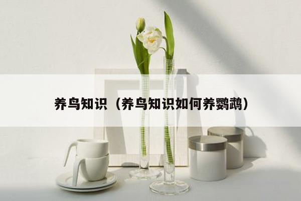 养鸟知识（养鸟知识如何养鹦鹉）