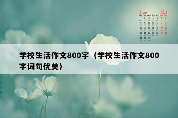 学校生活作文800字（学校生活作文800字词句优美）