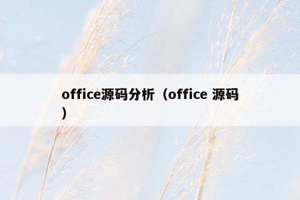 office源码分析（office 源码）