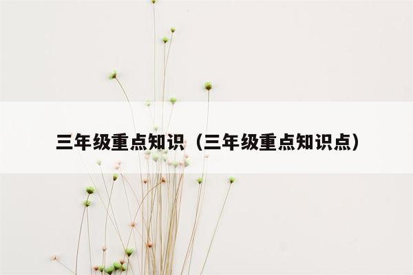 三年级重点知识（三年级重点知识点）