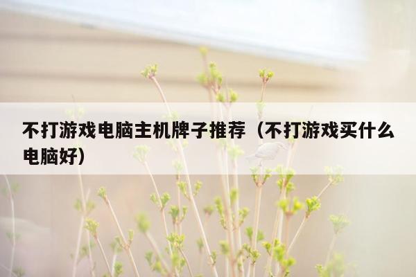 不打游戏电脑主机牌子推荐（不打游戏买什么电脑好）